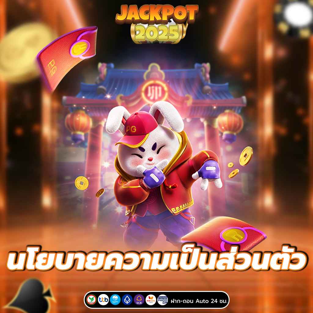 นโยบายความเป็นส่วนตัว (Privacy Policy)